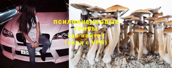 таблы Бородино