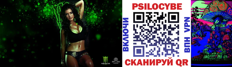 Галлюциногенные грибы Psilocybine cubensis  закладки  Озёрск 